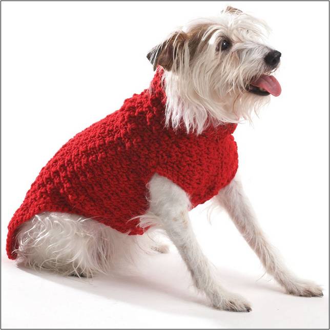 free-crochet-patterns-for-dog-sweaters